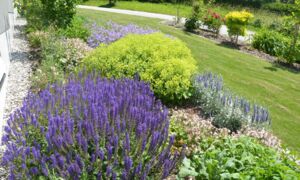 Bepflanzungen von ganz garten ag, Zizers